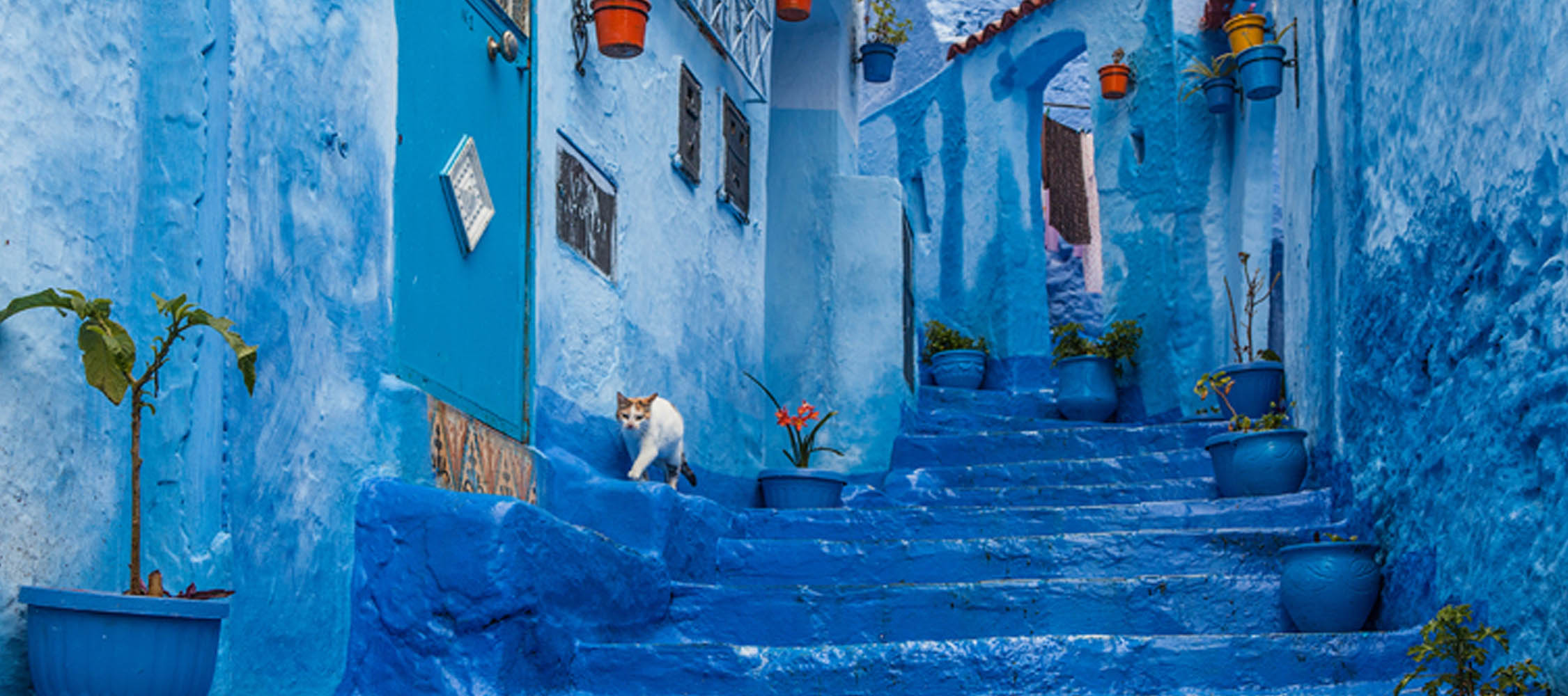 Fes excursions