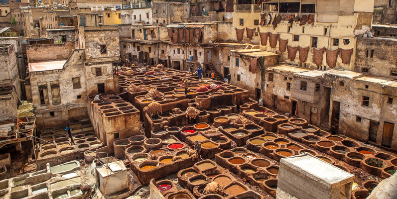fes guided tours